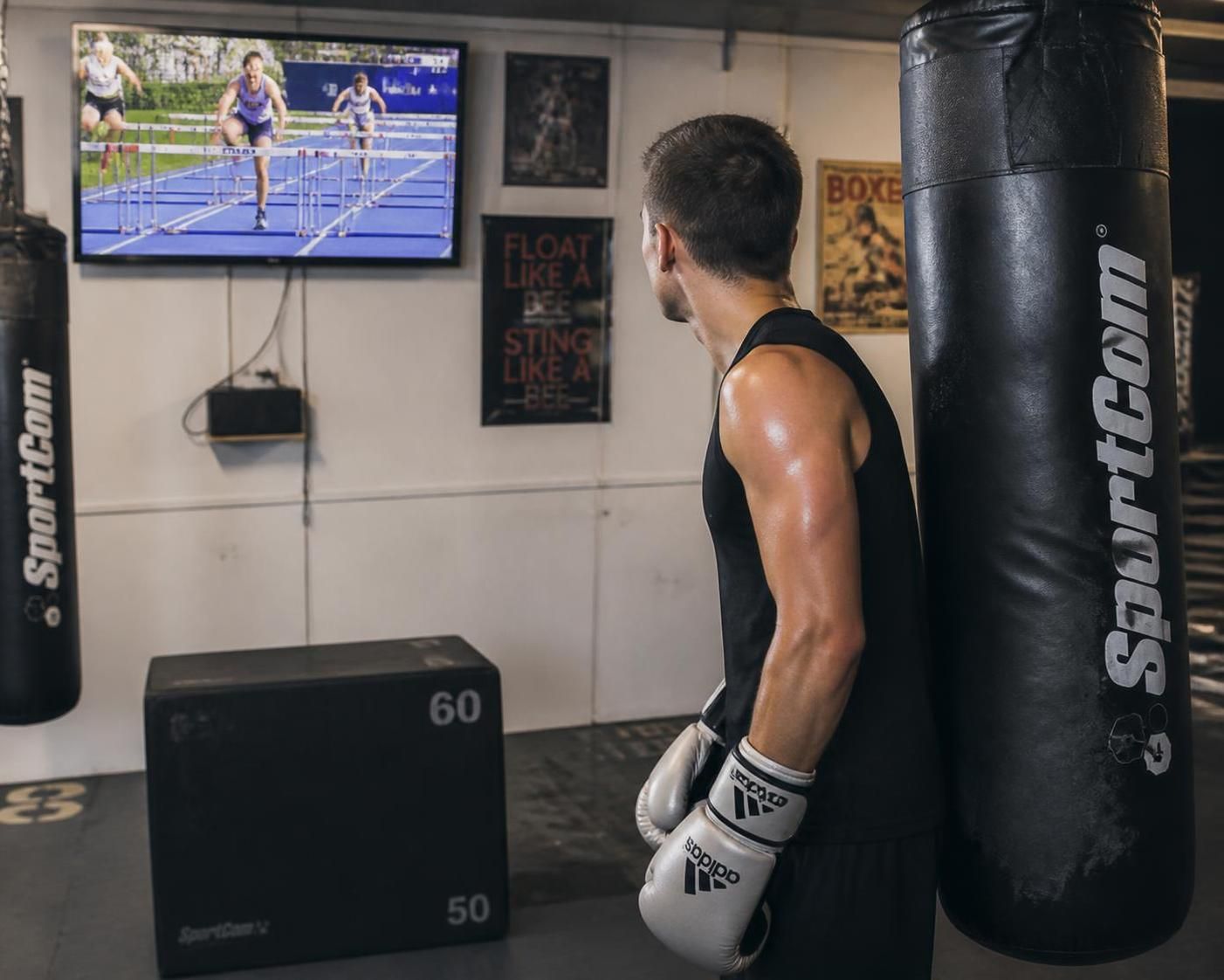 suivez toute l'actualité sportive en direct : athlétisme, handball, rallye, moto, boxe, équitation et bien plus. résultats, événements et analyses en temps réel.